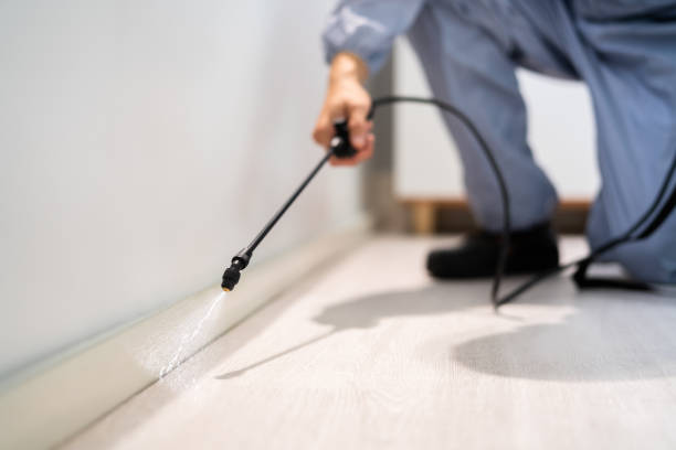 Rodent Entry Point Assessment in Uniondale