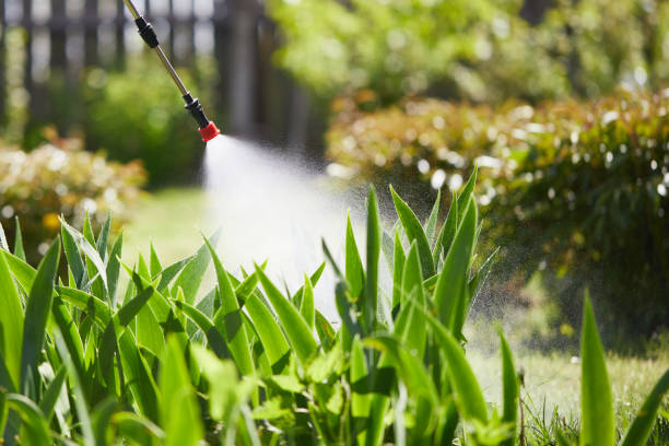 Tamper-Resistant Bait Stations for Rodents in Uniondale