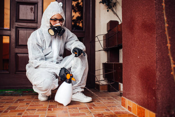 Attic and Crawl Space Rodent Treatment in Uniondale