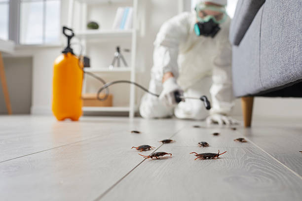 Commercial Rodent Management in Uniondale